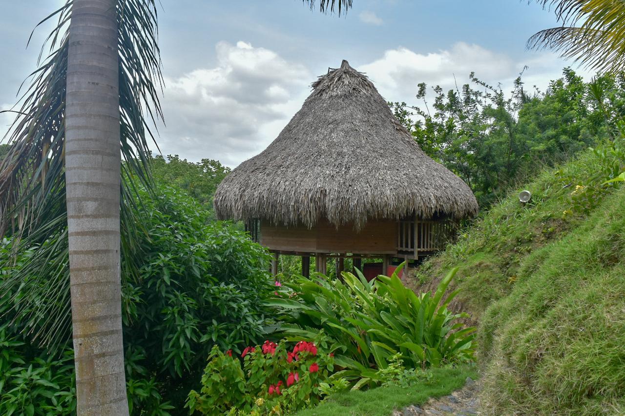 Ecohabs Bosques Del Tayrona Hotel Calabazo  Exterior photo
