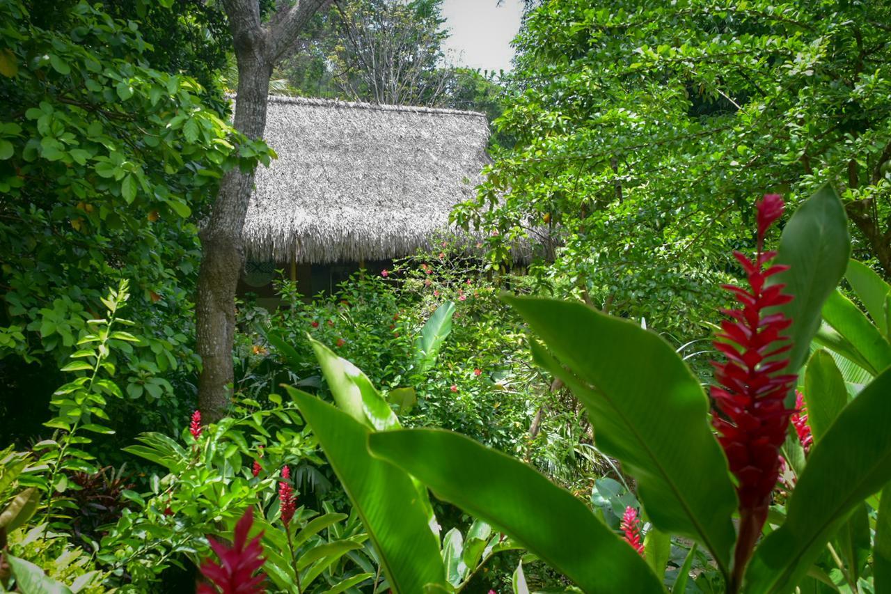 Ecohabs Bosques Del Tayrona Hotel Calabazo  Exterior photo