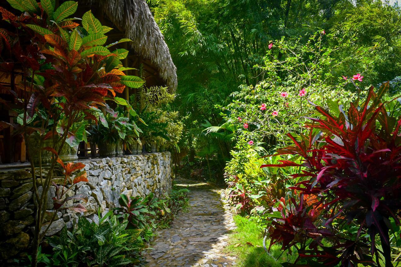 Ecohabs Bosques Del Tayrona Hotel Calabazo  Exterior photo